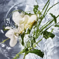 Aqua Allegoria Herba Fresca woda toaletowa spray 75ml