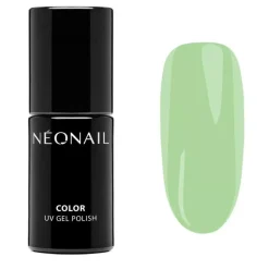 Blooming Dreams Lakier hybrydowy Eternal Fantasiec 7,2 ml