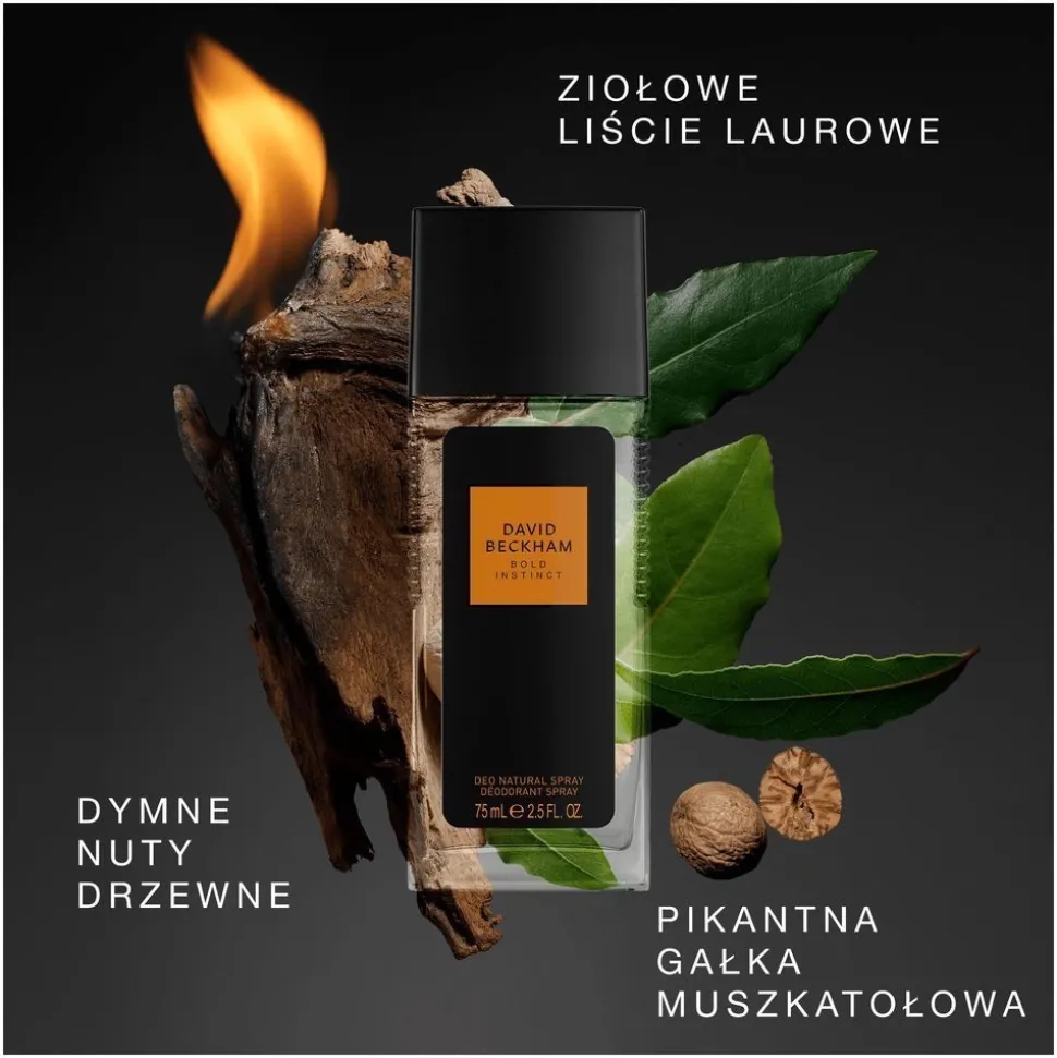 Bold Instinct dezodorant spray szkło 75ml