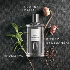 Classic Homme woda toaletowa spray 100ml