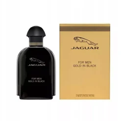 Gold In Black For Men woda toaletowa spray 100ml