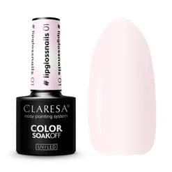 LIPGLOSSNAILS  01 5g