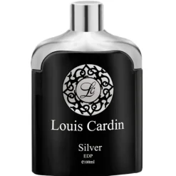 Silver Homme woda perfumowana spray 100ml