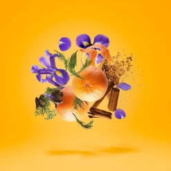 Sketchbook P.33 perfumy spray 100ml