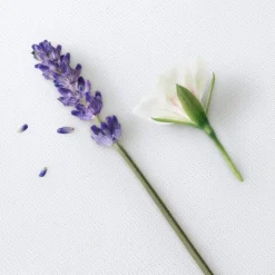 Stronger With You Only woda toaletowa spray 50ml