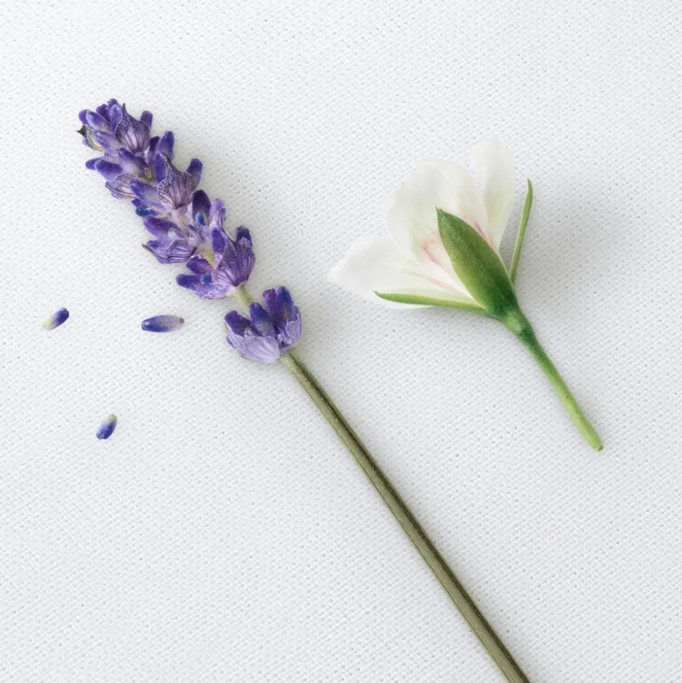 Stronger With You Only woda toaletowa spray 50ml