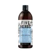 Szampon Nawilżający Five Herbs 480ml
