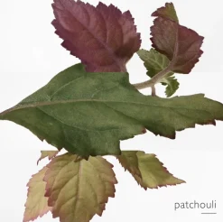 Twilly D'Hermes Eau Poivree woda perfumowana spray 30ml