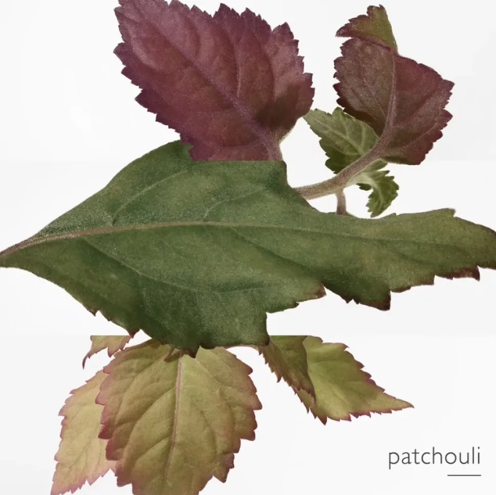 Twilly D'Hermes Eau Poivree woda perfumowana spray 30ml