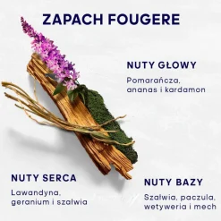 Uefa Champions League Goal woda toaletowa spray 50ml